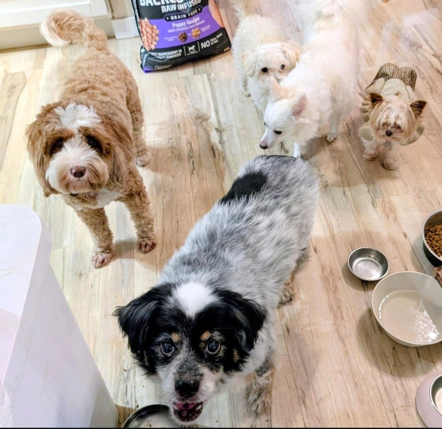 The pack