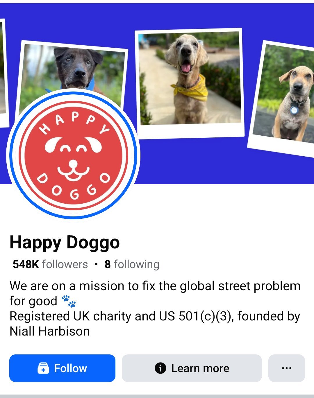 Happy Doggo — street-dog charity founded by Niall Harbison