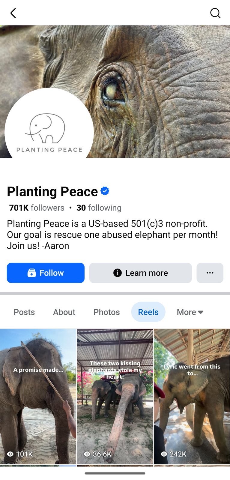 Planting Peace, a US non-profit rescuing abused elephants