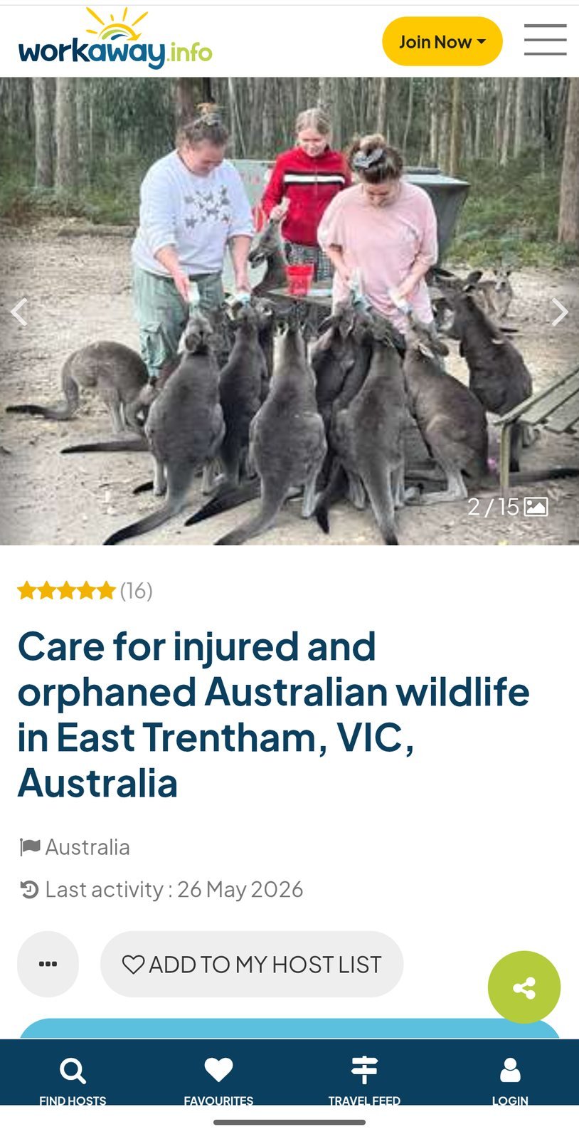 Workaway listing: caring for injured and orphaned wildlife in East Trentham, Victoria, Australia