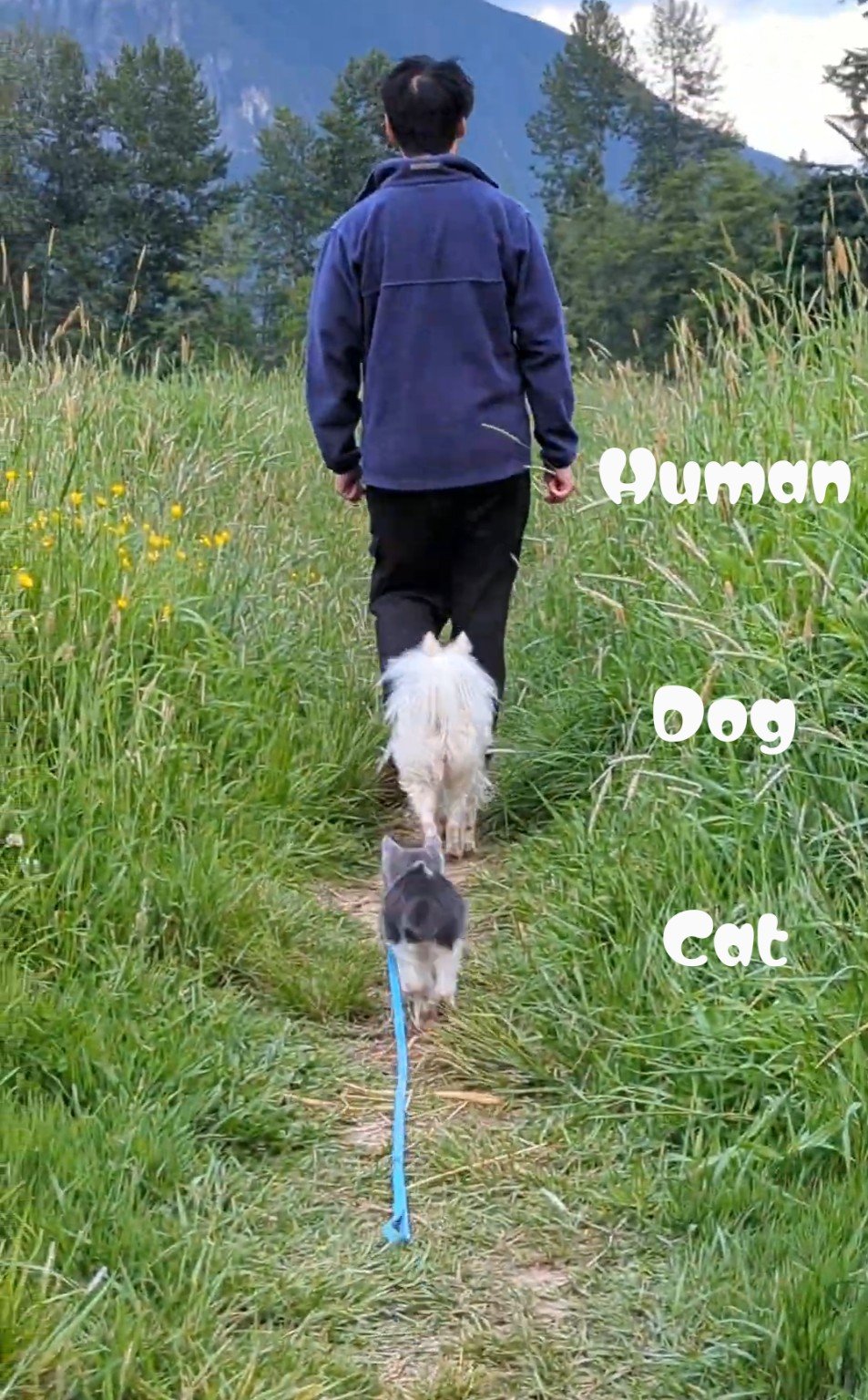 A person walking with Yuki and Nobu