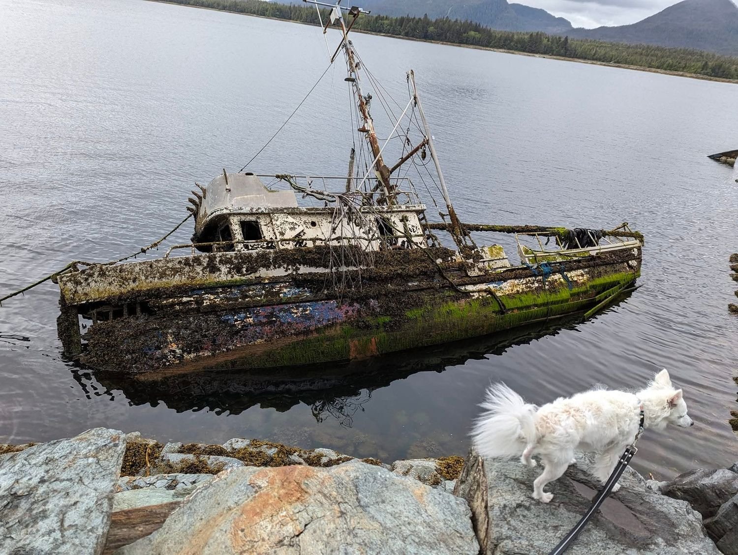 Yuki beside the old shipwreck